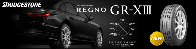REGNO GR-X3